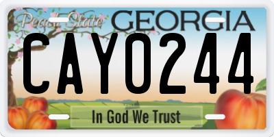 GA license plate CAY0244