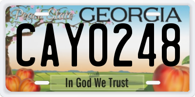 GA license plate CAY0248