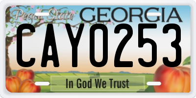 GA license plate CAY0253