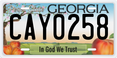 GA license plate CAY0258