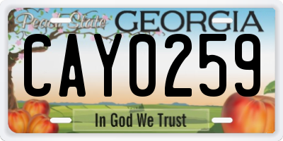 GA license plate CAY0259