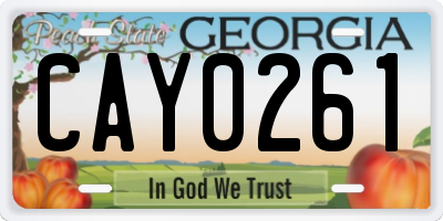 GA license plate CAY0261