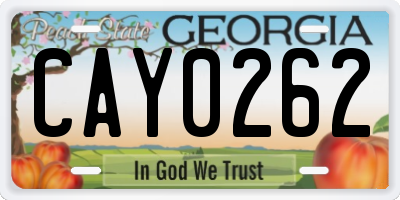 GA license plate CAY0262
