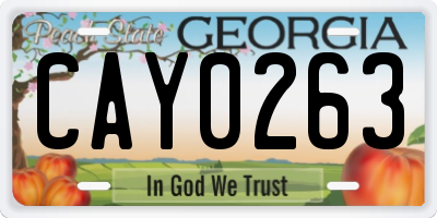 GA license plate CAY0263