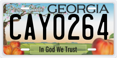 GA license plate CAY0264