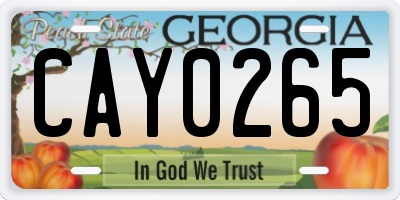 GA license plate CAY0265