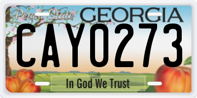 GA license plate CAY0273