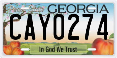 GA license plate CAY0274
