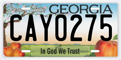 GA license plate CAY0275