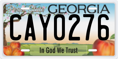 GA license plate CAY0276