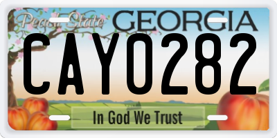 GA license plate CAY0282
