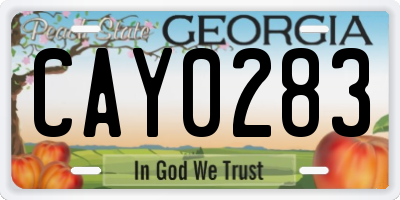 GA license plate CAY0283