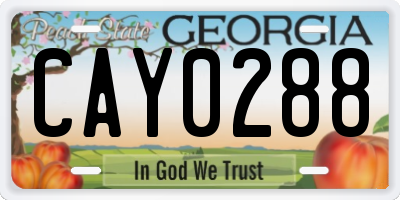 GA license plate CAY0288