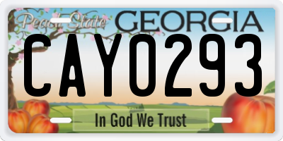 GA license plate CAY0293