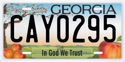 GA license plate CAY0295