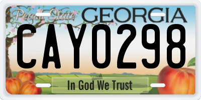 GA license plate CAY0298