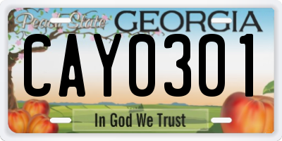 GA license plate CAY0301