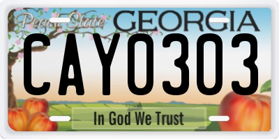 GA license plate CAY0303
