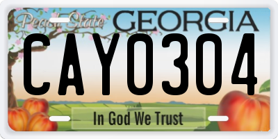 GA license plate CAY0304