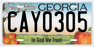 GA license plate CAY0305