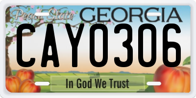 GA license plate CAY0306