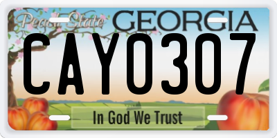 GA license plate CAY0307