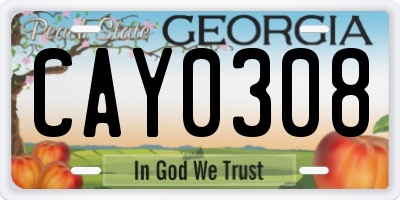 GA license plate CAY0308