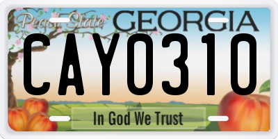 GA license plate CAY0310