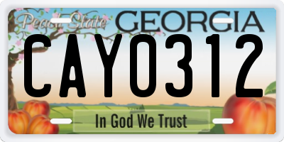 GA license plate CAY0312