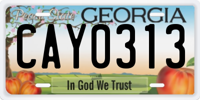 GA license plate CAY0313