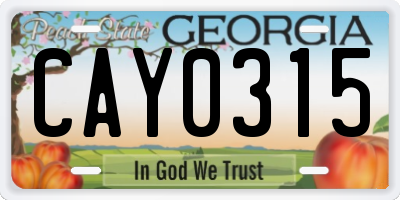 GA license plate CAY0315