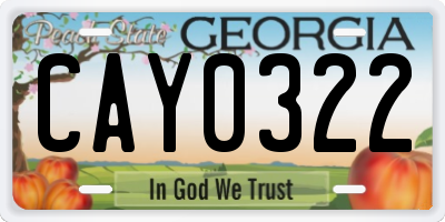 GA license plate CAY0322