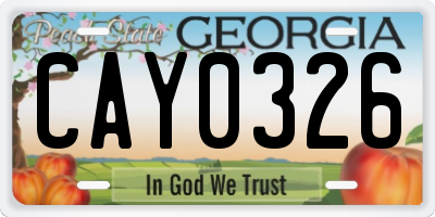 GA license plate CAY0326