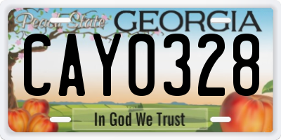 GA license plate CAY0328