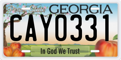 GA license plate CAY0331