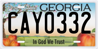 GA license plate CAY0332