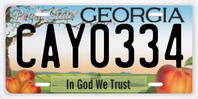GA license plate CAY0334