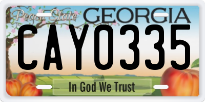 GA license plate CAY0335