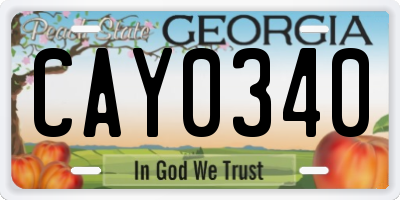 GA license plate CAY0340