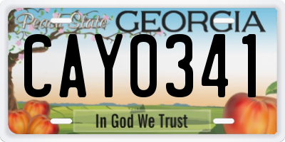 GA license plate CAY0341