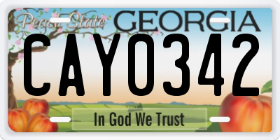GA license plate CAY0342