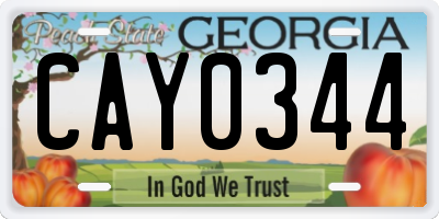 GA license plate CAY0344