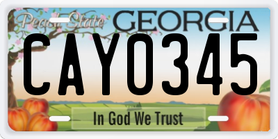 GA license plate CAY0345