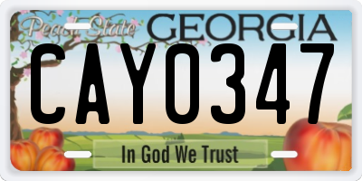 GA license plate CAY0347