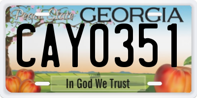 GA license plate CAY0351