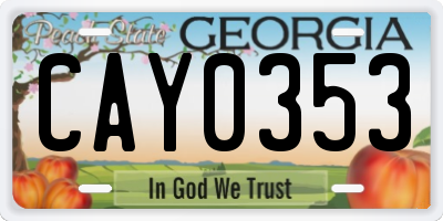 GA license plate CAY0353