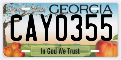 GA license plate CAY0355