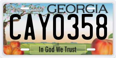 GA license plate CAY0358