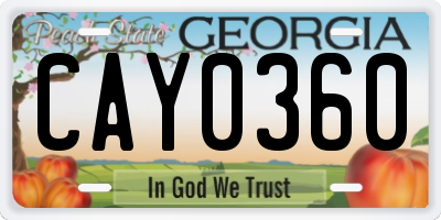 GA license plate CAY0360