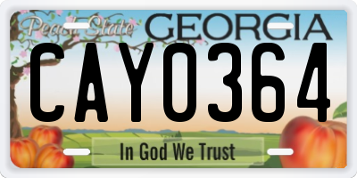 GA license plate CAY0364